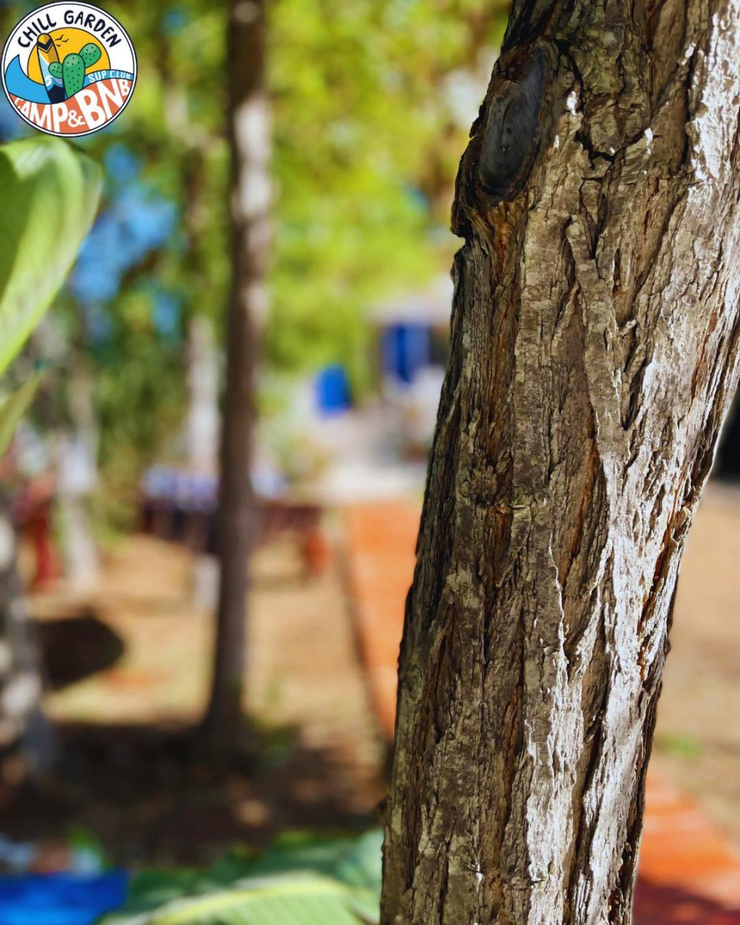 Chill Garden Experience B&B San Pietro in Bevagna Εξωτερικό φωτογραφία