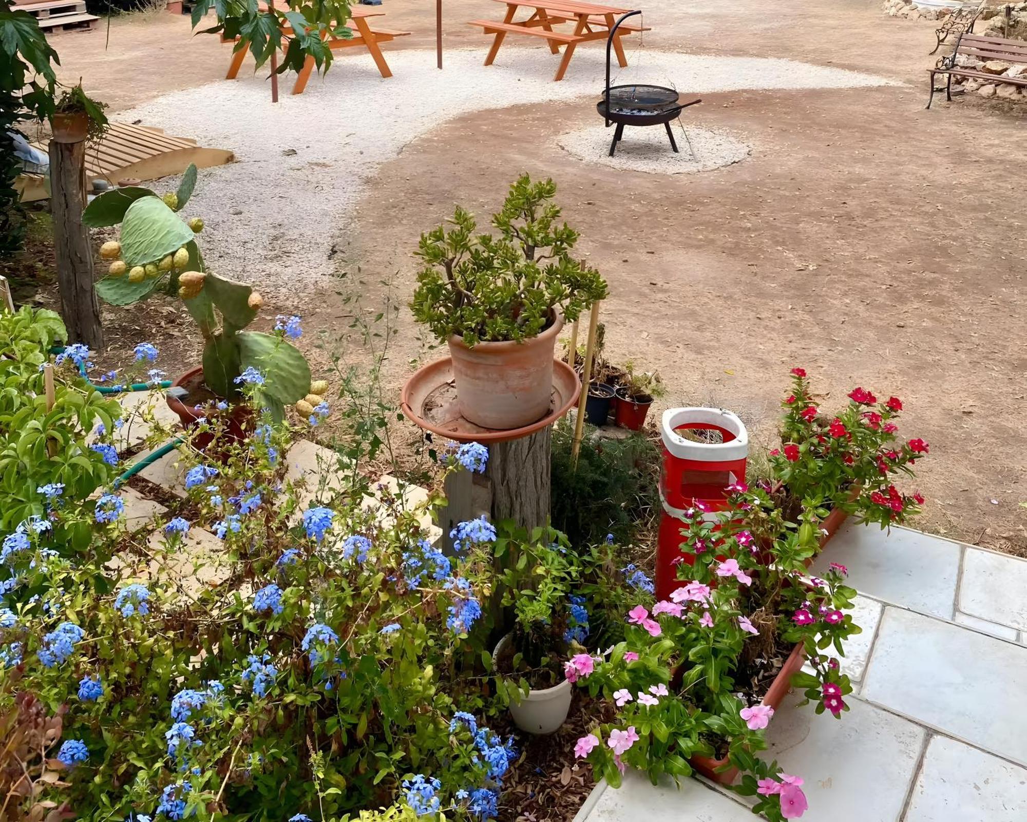 Chill Garden Experience B&B San Pietro in Bevagna Εξωτερικό φωτογραφία
